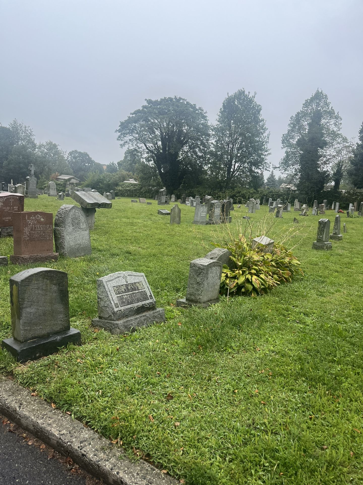 3 Burial Plots 