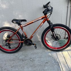 24” 21 Speed Bicycle