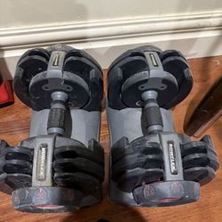 Bowflex Dumbbell