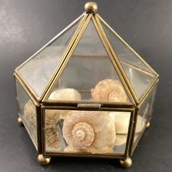 VTG Boho MCM Geometric Shaped Hinged Glass & Brass Terrarium/Trinket Box—See Description