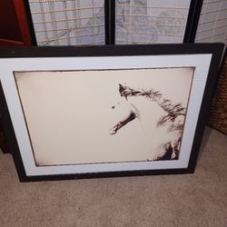 3ft X 2ft Horse Art That Is Framed
