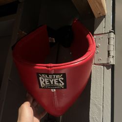 Cleo Reyes protector