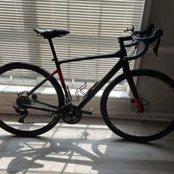 2019 Men's Diverge Sport Carbon Fiber