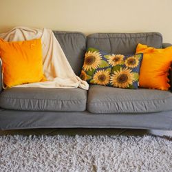 Grey Couch