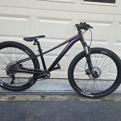 Liv Mountain Bike