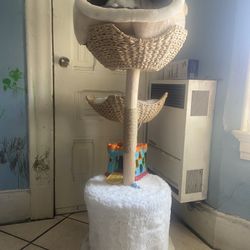 Cat Tower And Cat Bed 