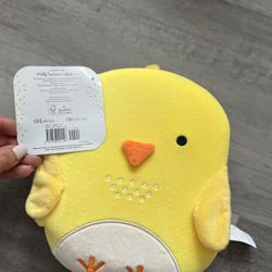 Squish And Snugg Chicken Board Book