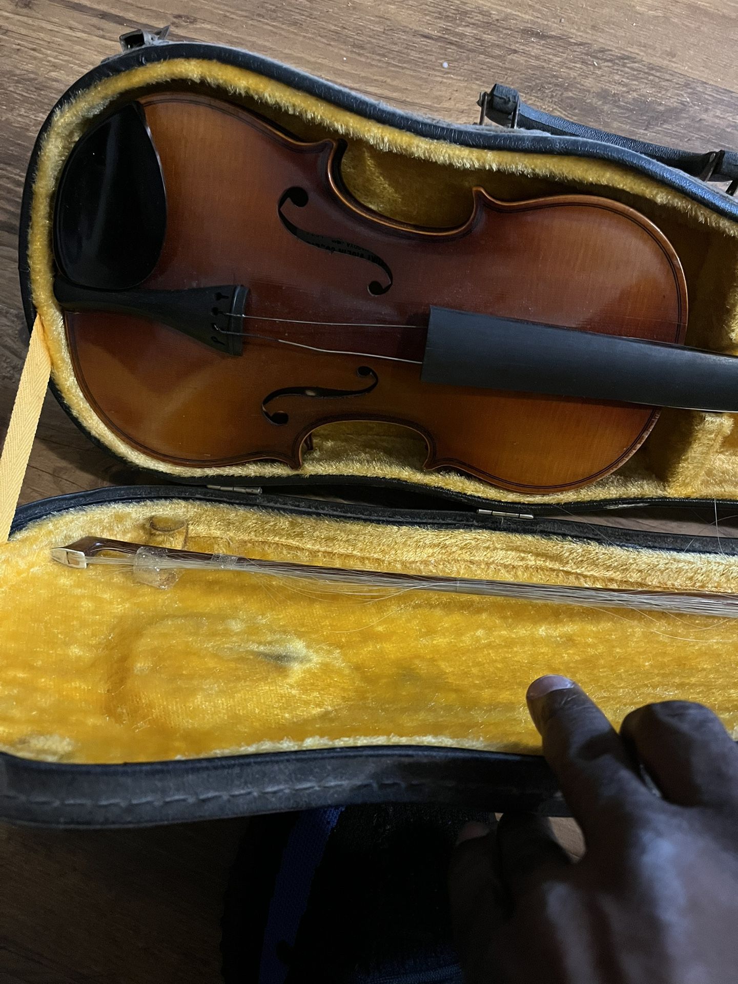Violin