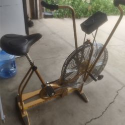 Schwinn Airdyne Assault Bike