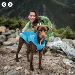 New Kurgo Dog Jacket Raincoat 