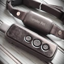 Shock Collar Trainer