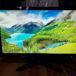 Acer 19.5 inch LED Monitor 