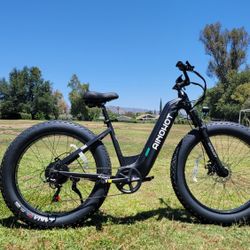 Fat Tires Step Thru Electric Bike
