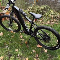 Electric bike