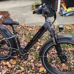 Electric Bike