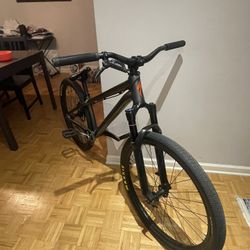 2021 Specialized P.3 Dirt Jumper MTB