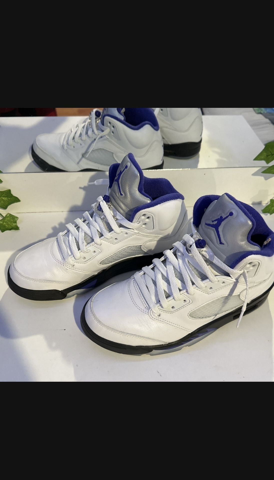 Air Jordan 5 Concords