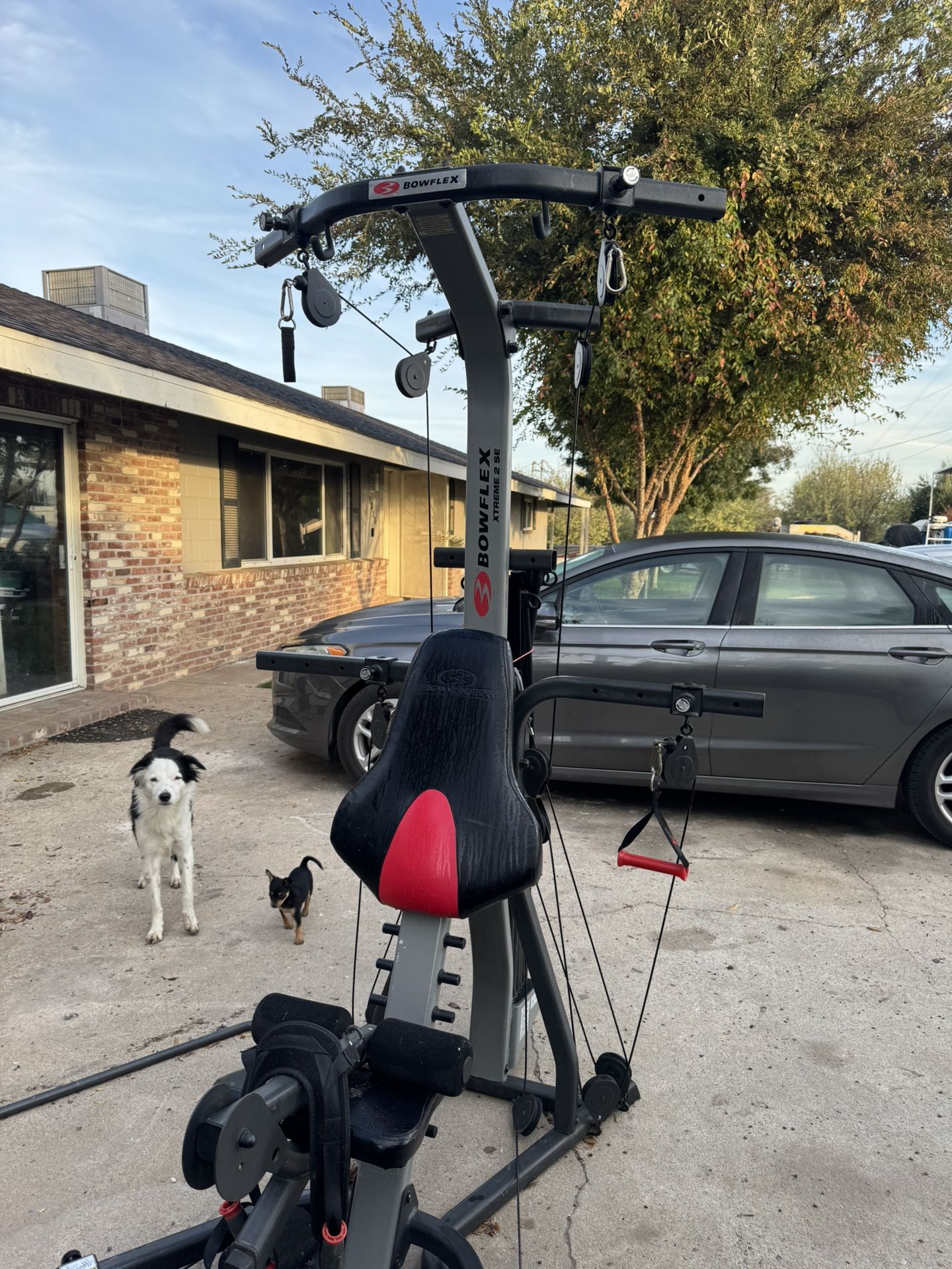 Bowflex Extreme 2 Se