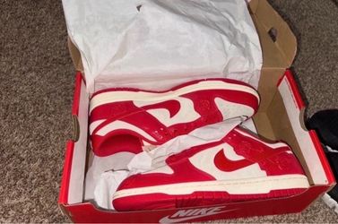 Women’s Nike dunks new in box size 9