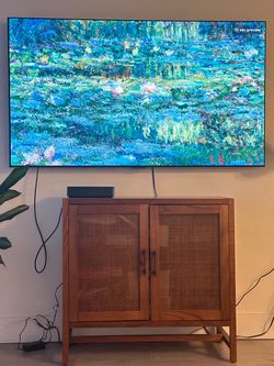 LG 65” C3 Premium OLED evo 4K TV  — Excellent Condition