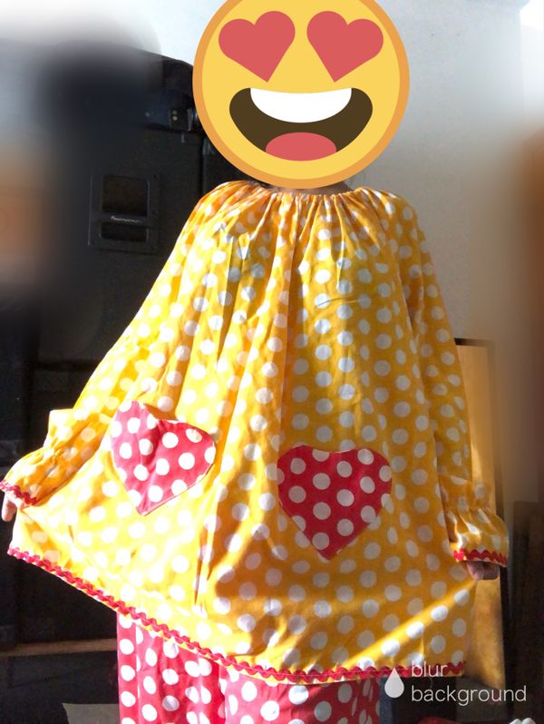 Professional Clown Costume for Sale in Scranton, PA OfferUp