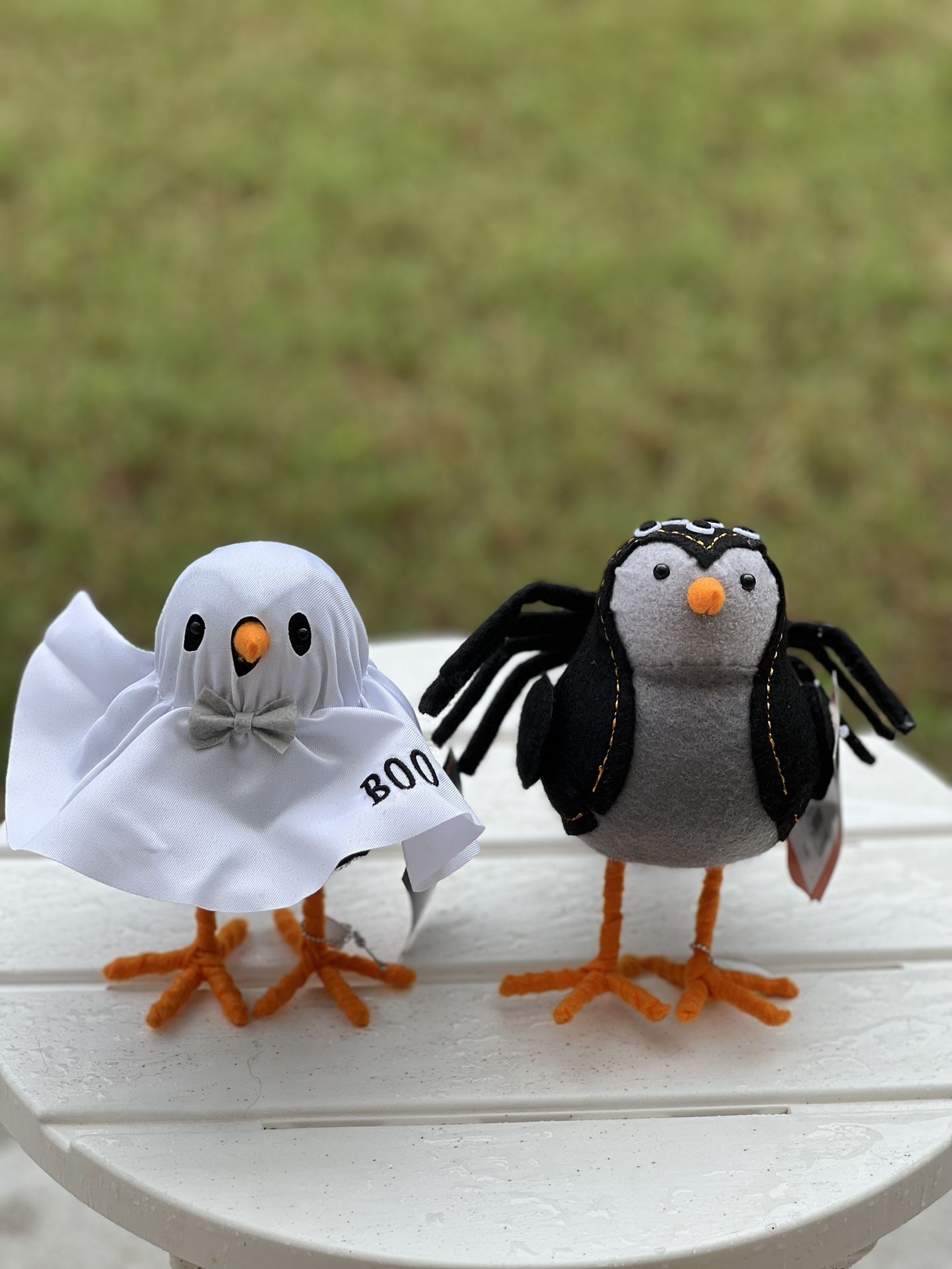 2 birds