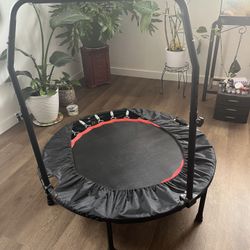 Adult Trampoline