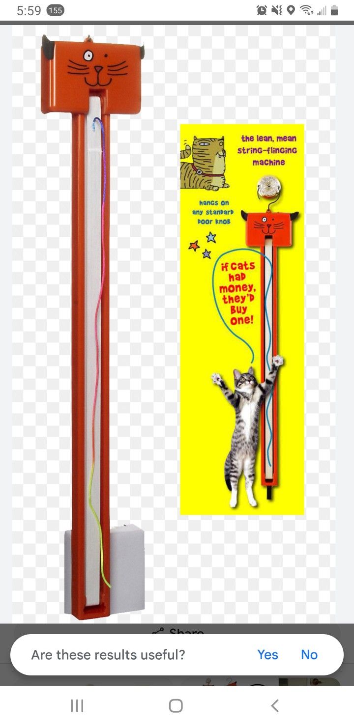 cat toy
