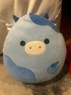 Blueberry Cow Squishmallow Rutanya