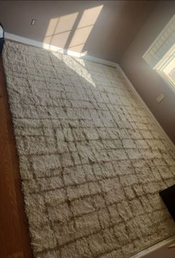 Rug 8x10