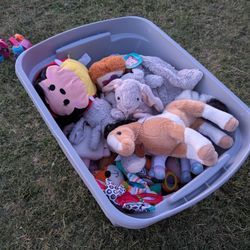 Stuffed Animal/Squishmellows And More