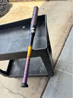Demarini sprite fast pitch bat 31/19 -12