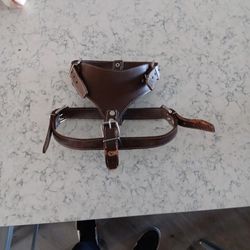 Leather Harness 