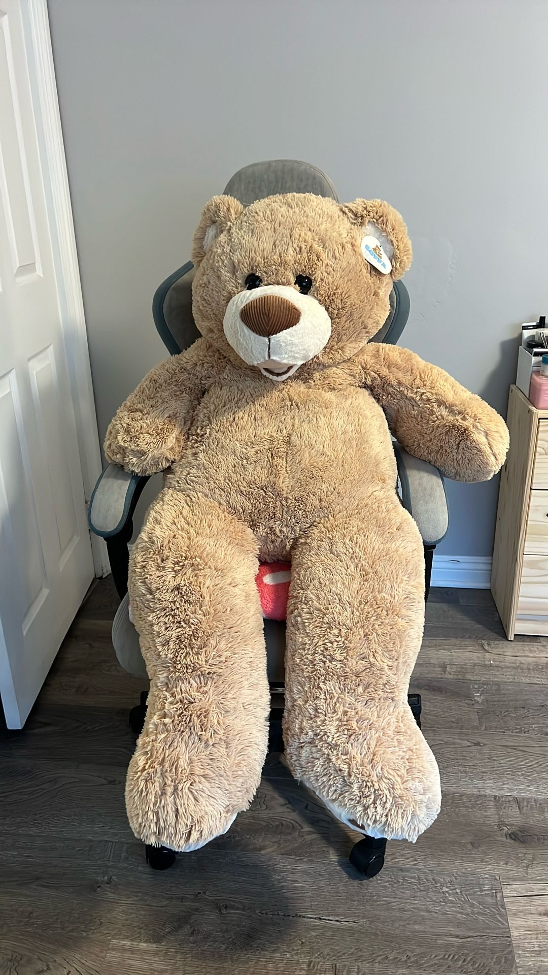 MASSIVE Teddy Bear NWT!