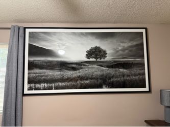 Large framed black and white landscape tree art print