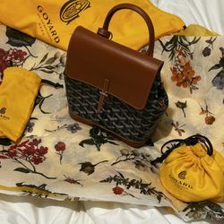 Goyard Alpin mini  