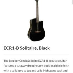 Boulder Creek Solitaire Acoustic Electric Guitar
