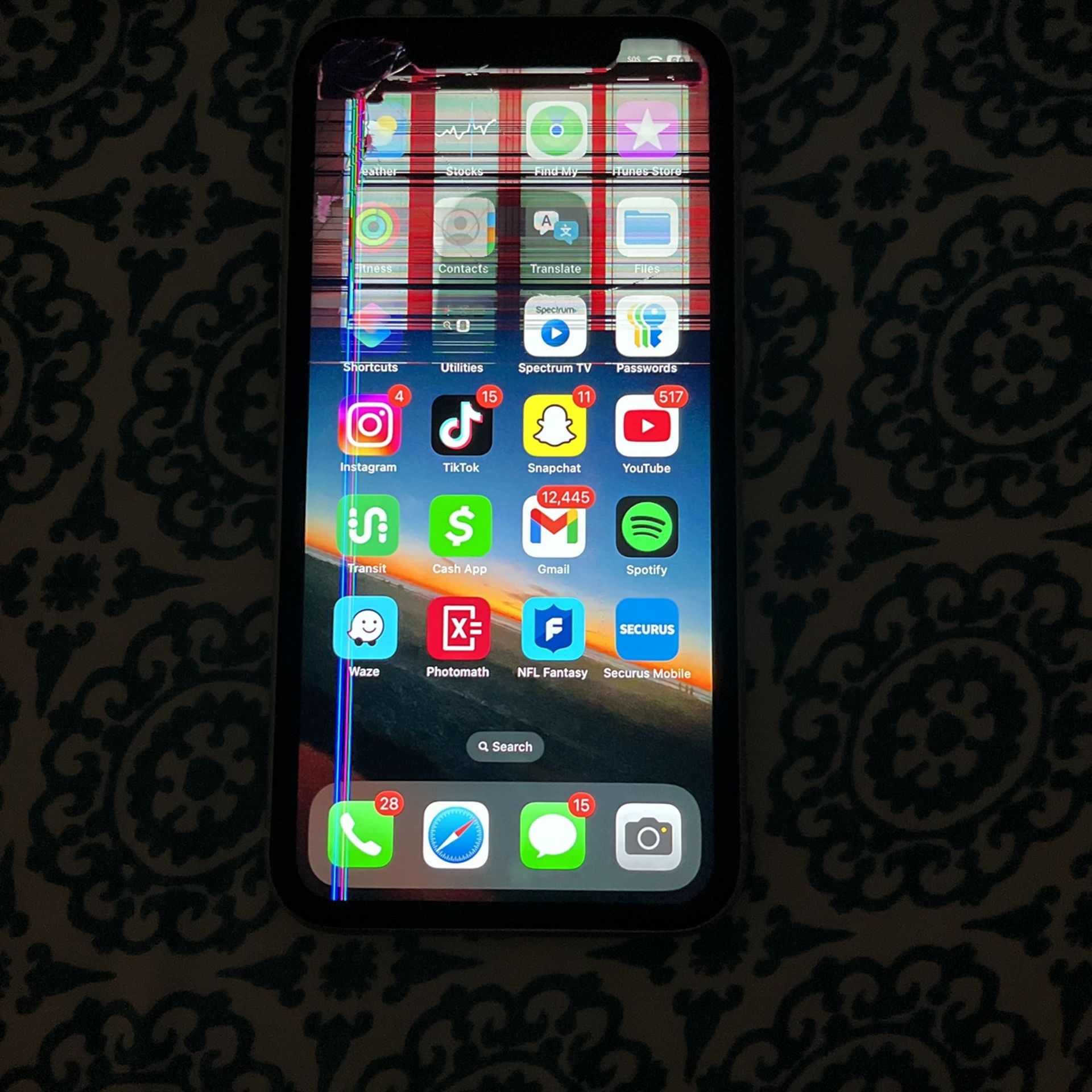iphone with tiktok