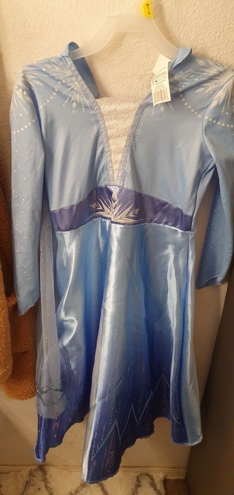 Elsa costume Dress