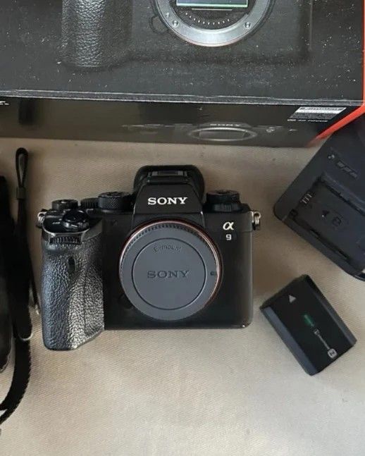 Sony Alpha ILCE-9M2 24.2MP Mirrorless Interchangeable Lens Camera - Black