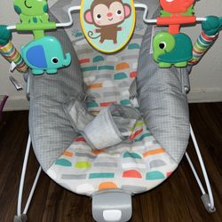 Baby Bouncer 