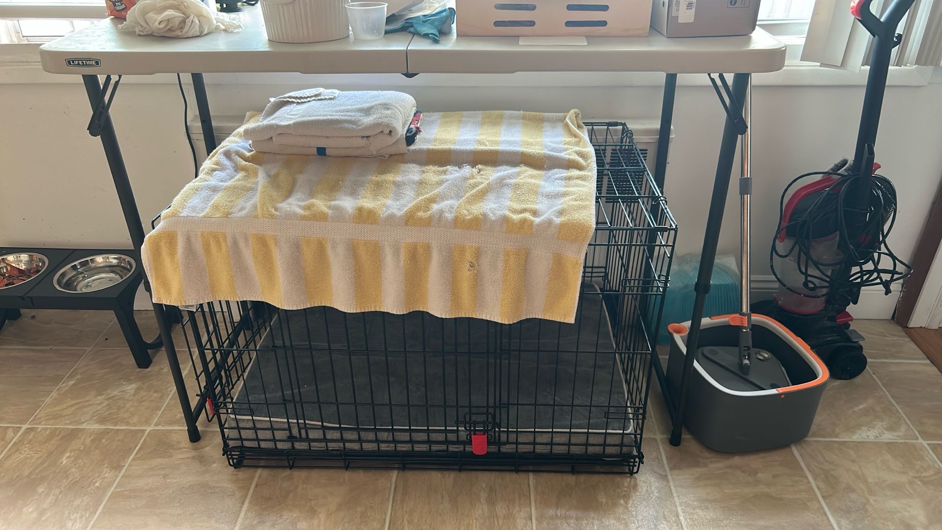 Dog cage And mattress