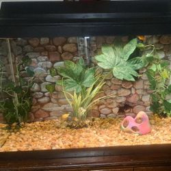 Brand New Fish Tank 29 Gal High 