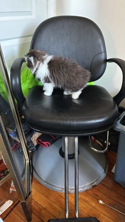 Barber chair