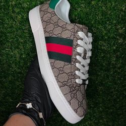 Gucci Shoes 