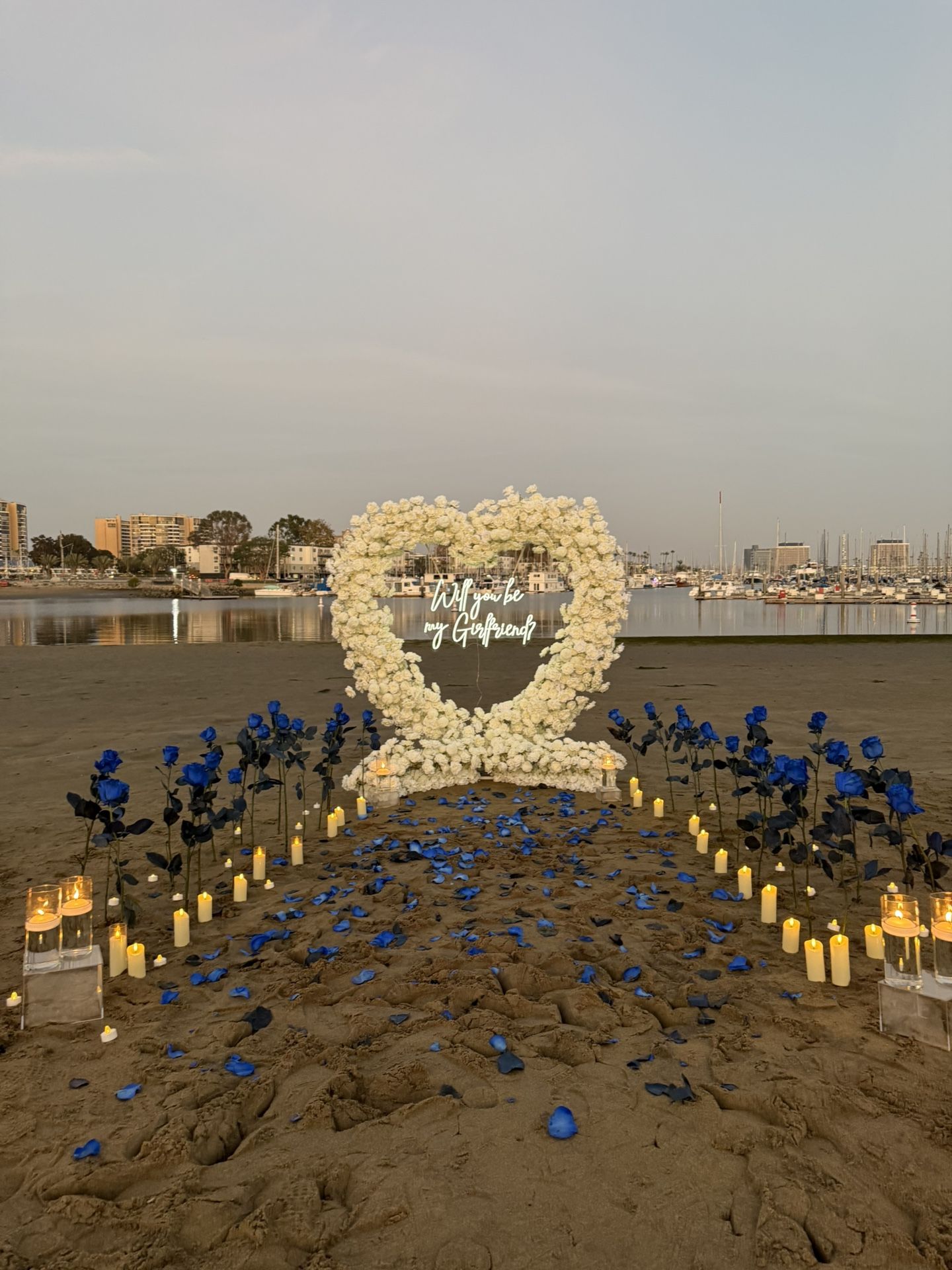 Proposal Heart (white)