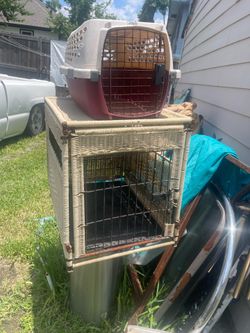 Dog kennels