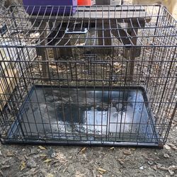 Dog Crate 