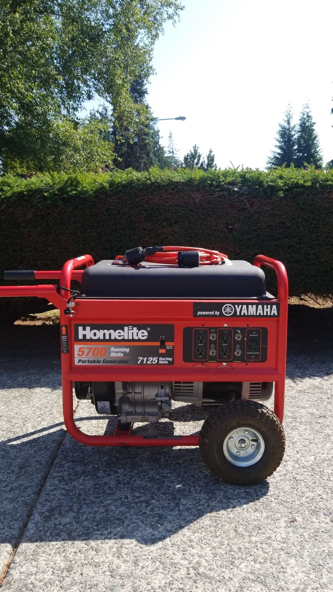 Homelite Generator