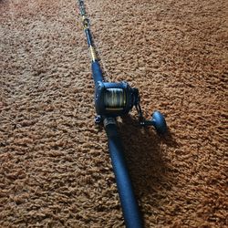 Ugly Stik Big Water/Penn Squall 